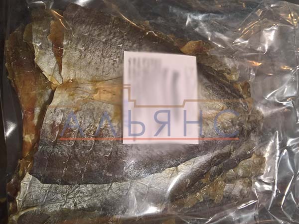 Царский полосатик с перцем в Курске