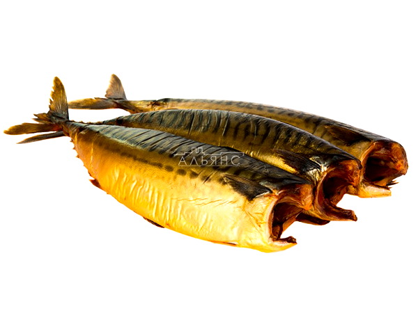 Скумбрия холодного копчения в Курске